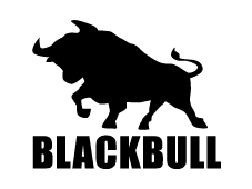 productos de seguridad industrial BLACKBULL